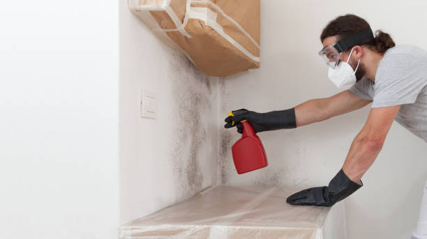 Professional Crawl Space Mold Removal technician working in Sanford, VA