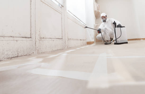 24/7 Emergency Crawl Space Mold Removal experts in Sanford, VA